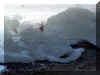 2004-03-12_E-Champ2004 025.jpg (62969 bytes)